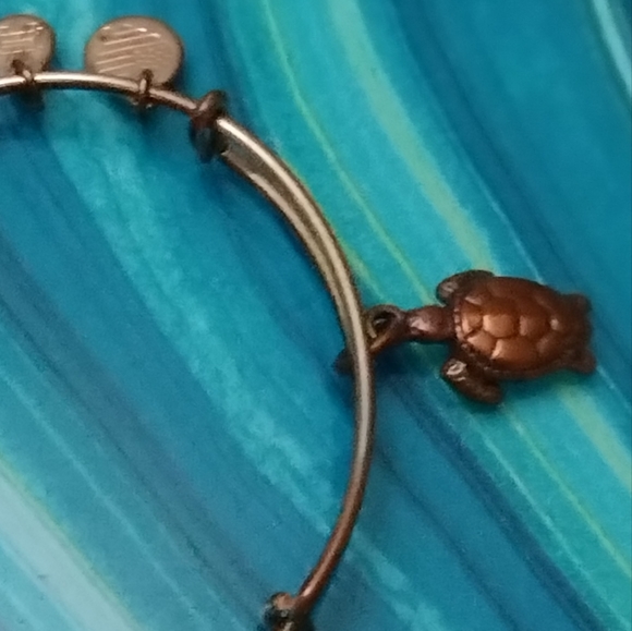 Alex and Ani Sea Turtle Charm Bracelet - Picture 8 of 13